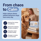 PetTuck Card 2 — From chaos to Calm